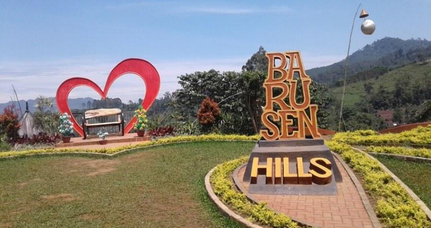 Barusen Hills Ciwidey, Objek Wisata Keluarga Hits Bernuansa Alam di Bandung